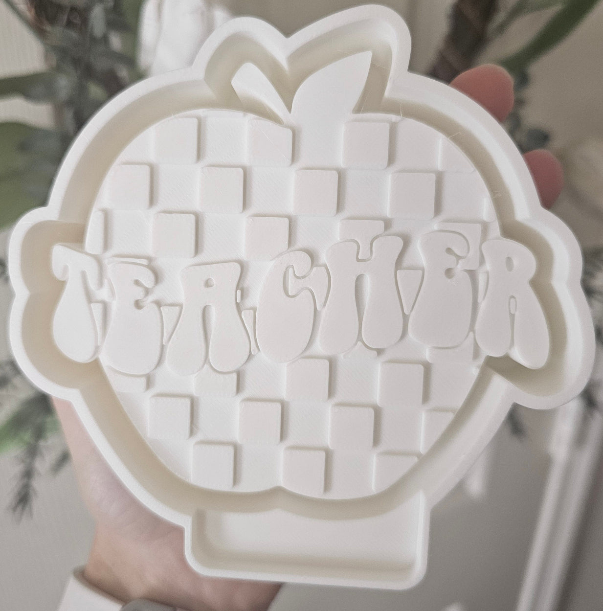 Checkered teacher freshie