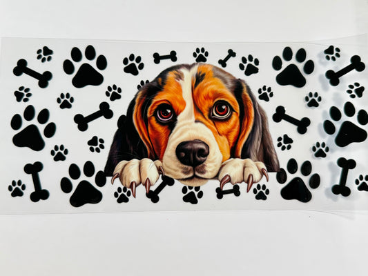Beagle wrap