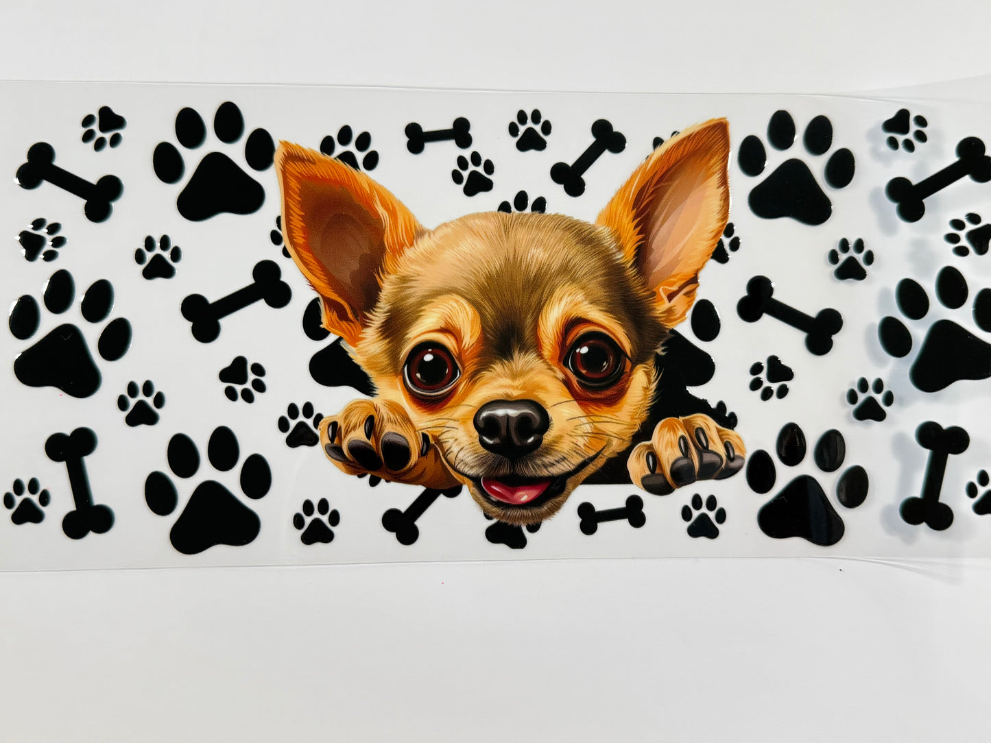 Chihuahua wrap