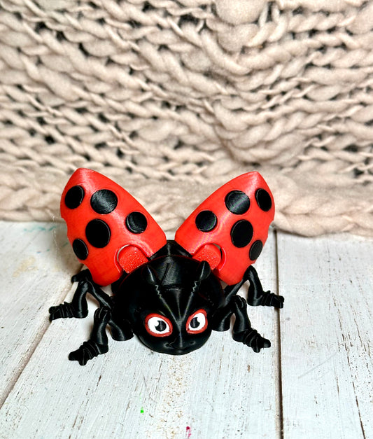 Bae the Ladybug