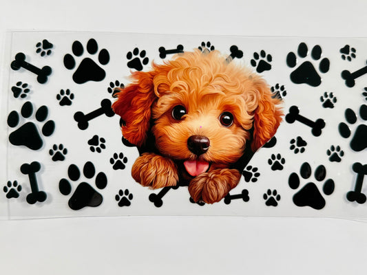 Dog wrap