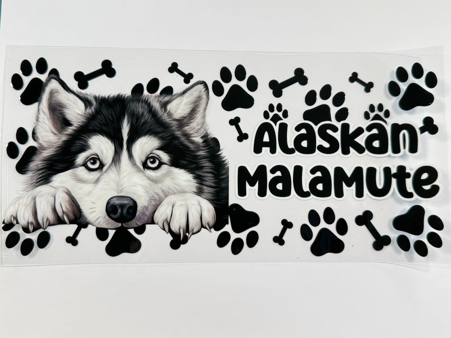 Alaskan malamute wrap