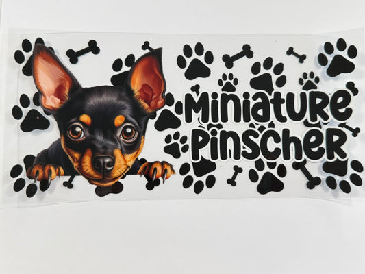 Mini pinscher wrap
