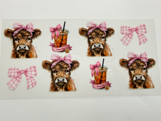 Cows with coffee wrap