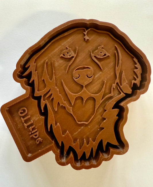 Golden retriever freshie