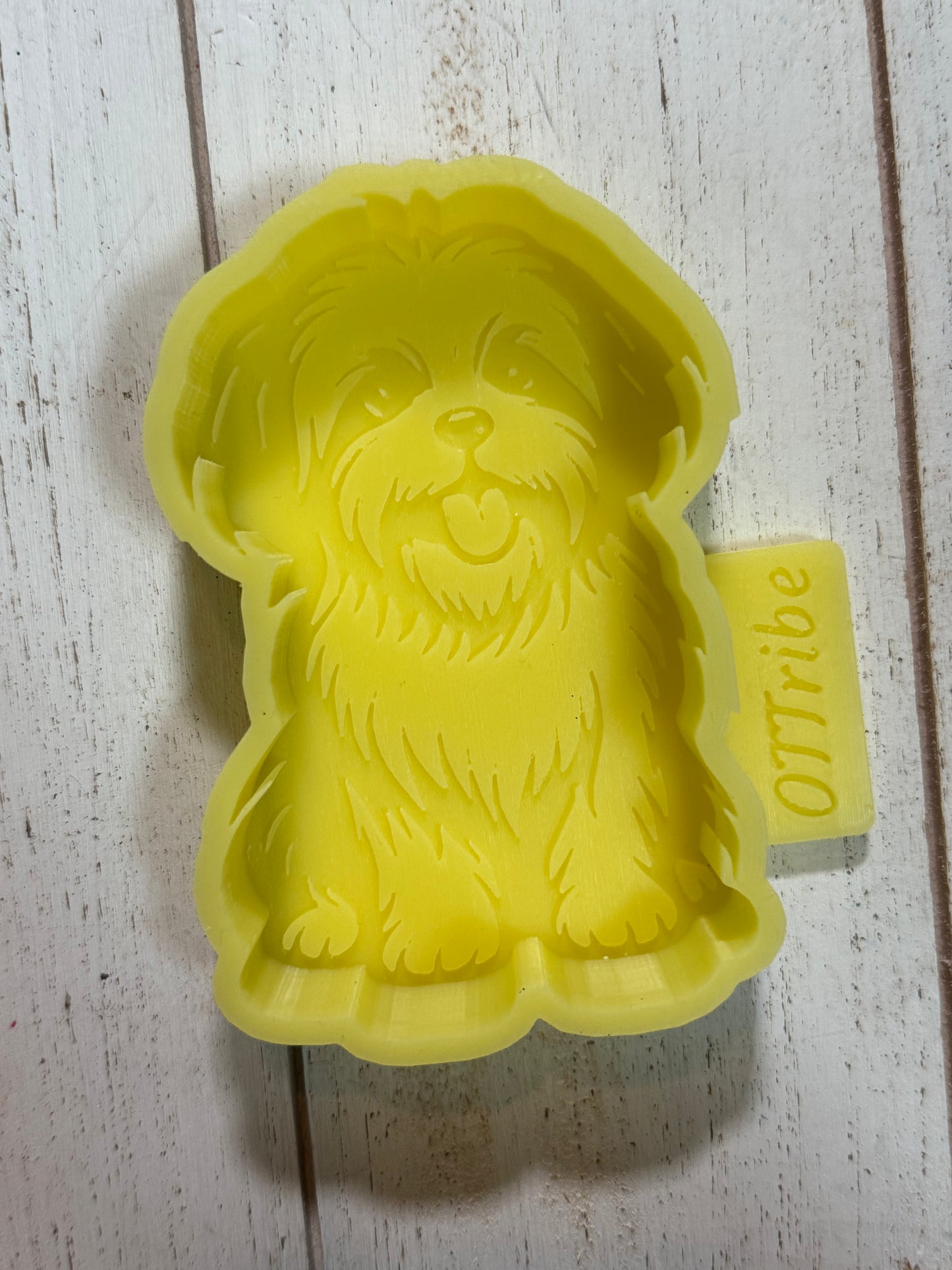 Shih-tzu freshie
