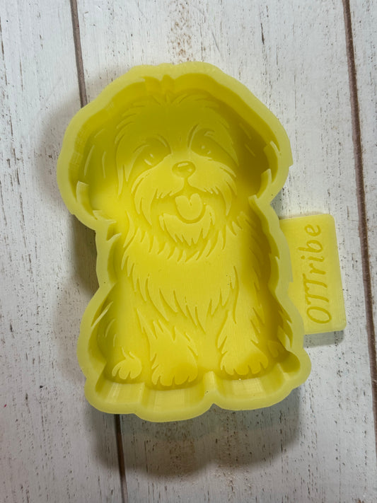 Shih-tzu freshie