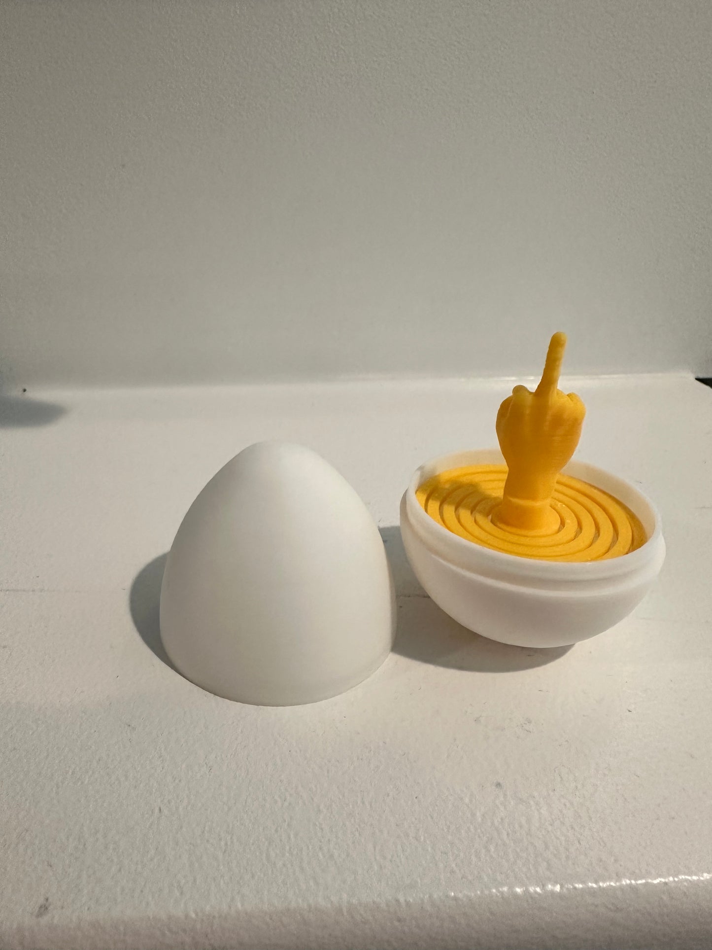“The BIRD” Egg
