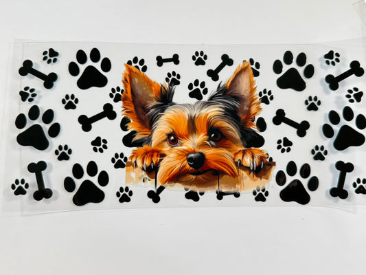 Yorkie wrap
