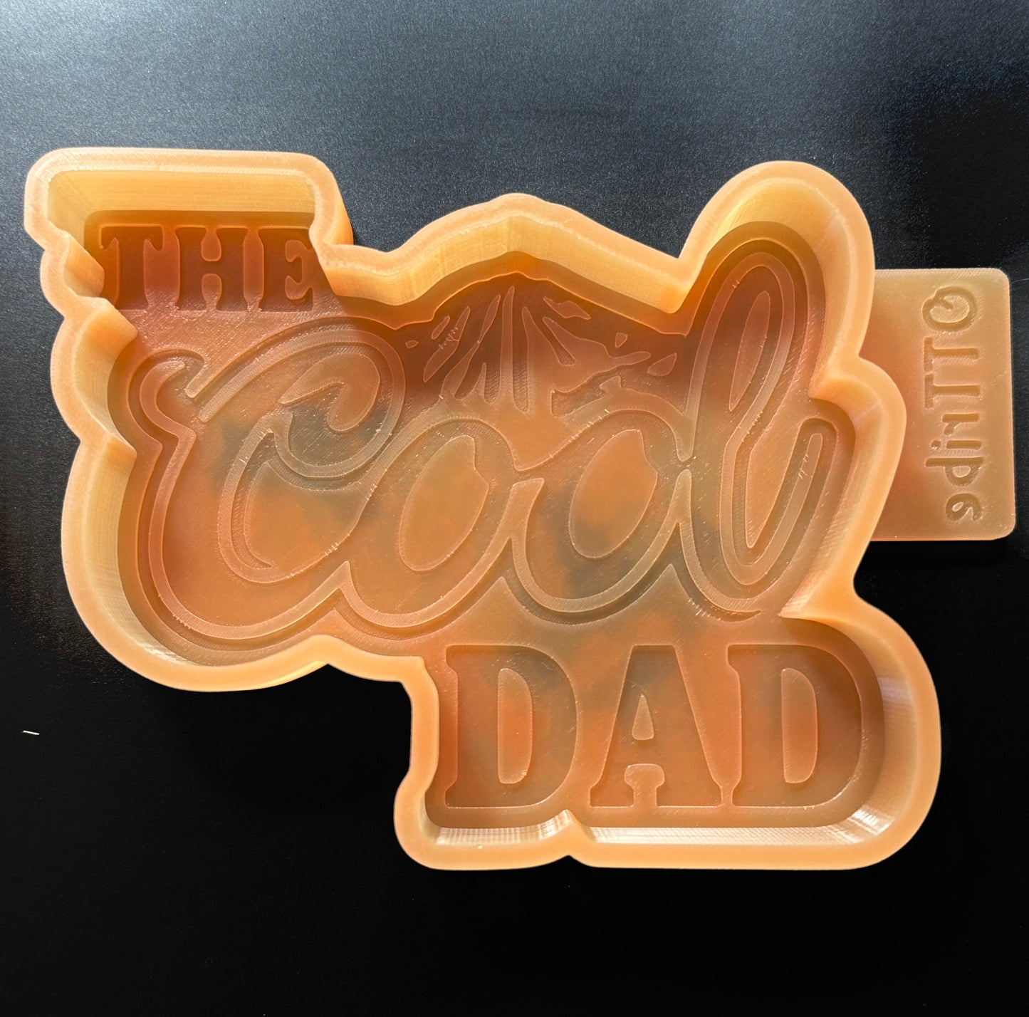 The cool dad freshie