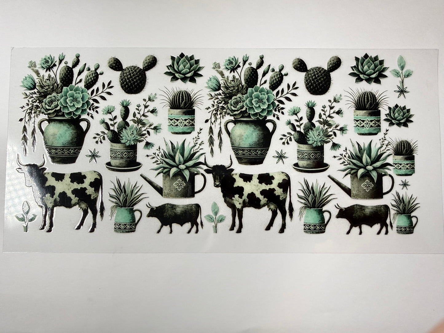 Cows and cacti wrap
