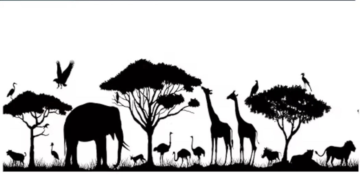 Safari wrap