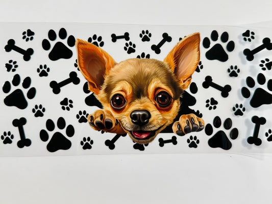 Chihuahua wrap