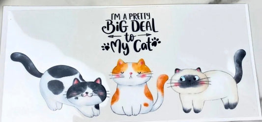 Big deal cat wrap