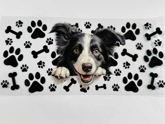 Collie wrap