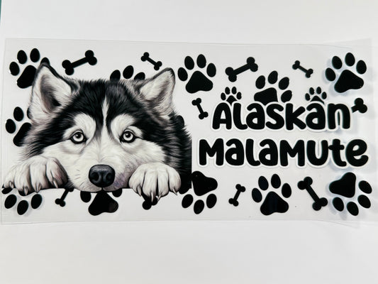 Alaskan malamute wrap