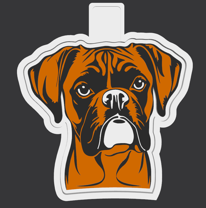 Boxer
