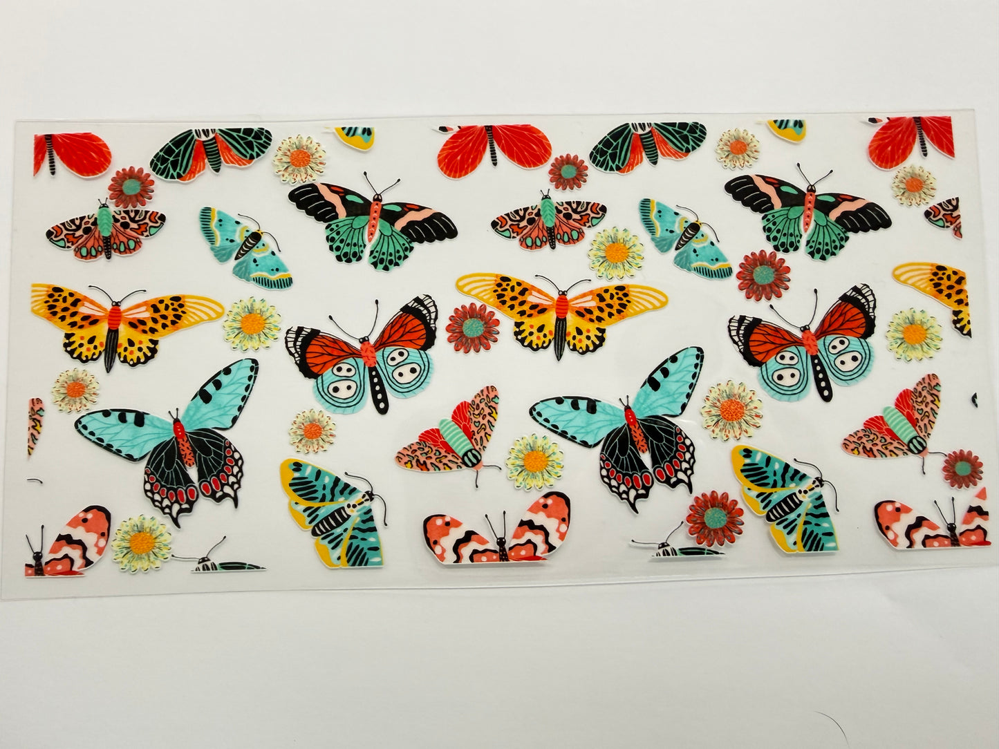 Moths wrap