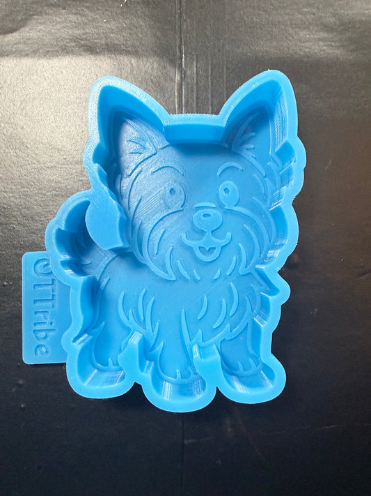 Yorkie freshie