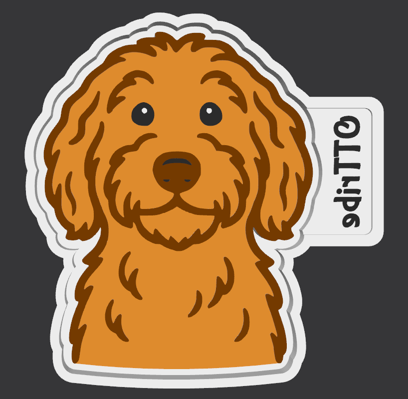 Labradoodle